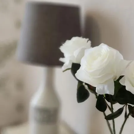 Les Hortensias Blancs Studio Amiens Buitenkant foto