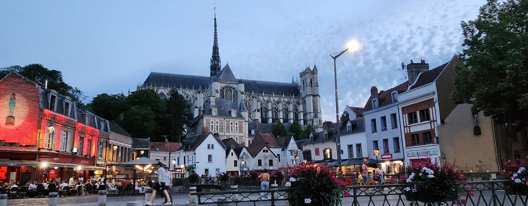 Les Hortensias Blancs * Amiens