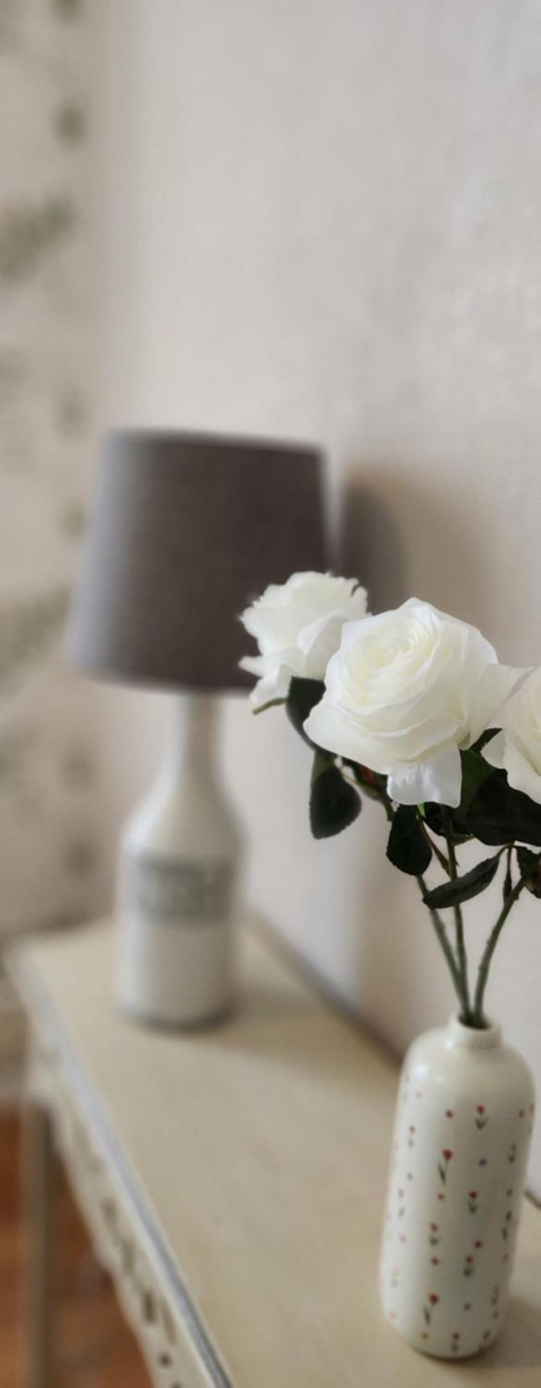 Les Hortensias Blancs Appartement *